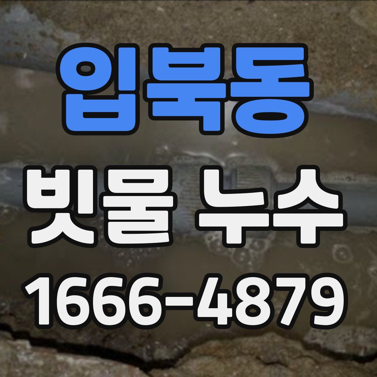 입북동 빗물 누수