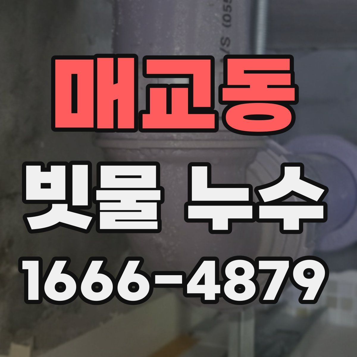 매교동 빗물 누수