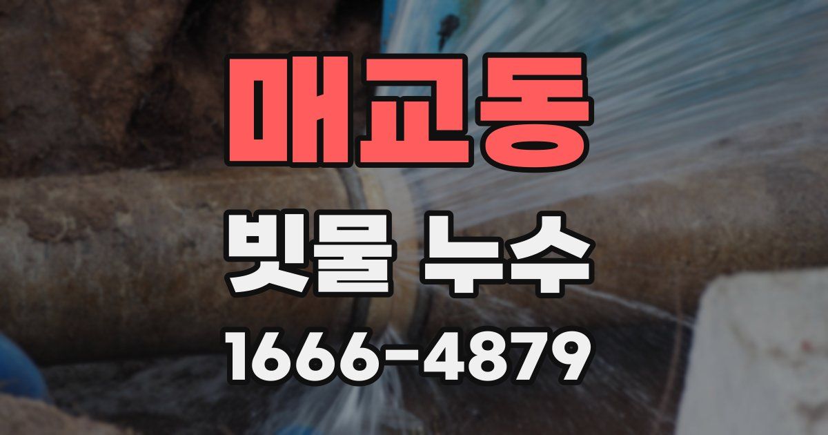 매교동 빗물 누수