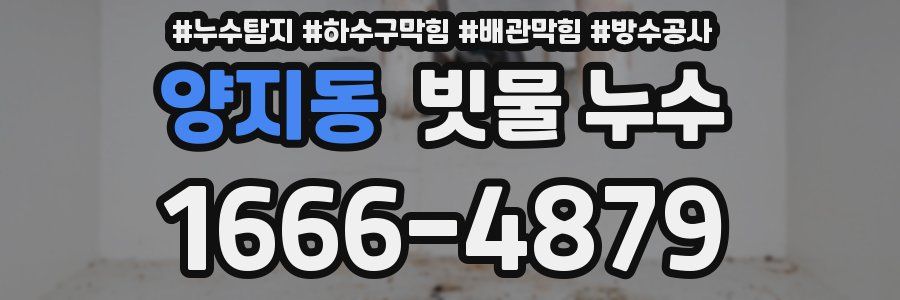 양지동 빗물 누수
