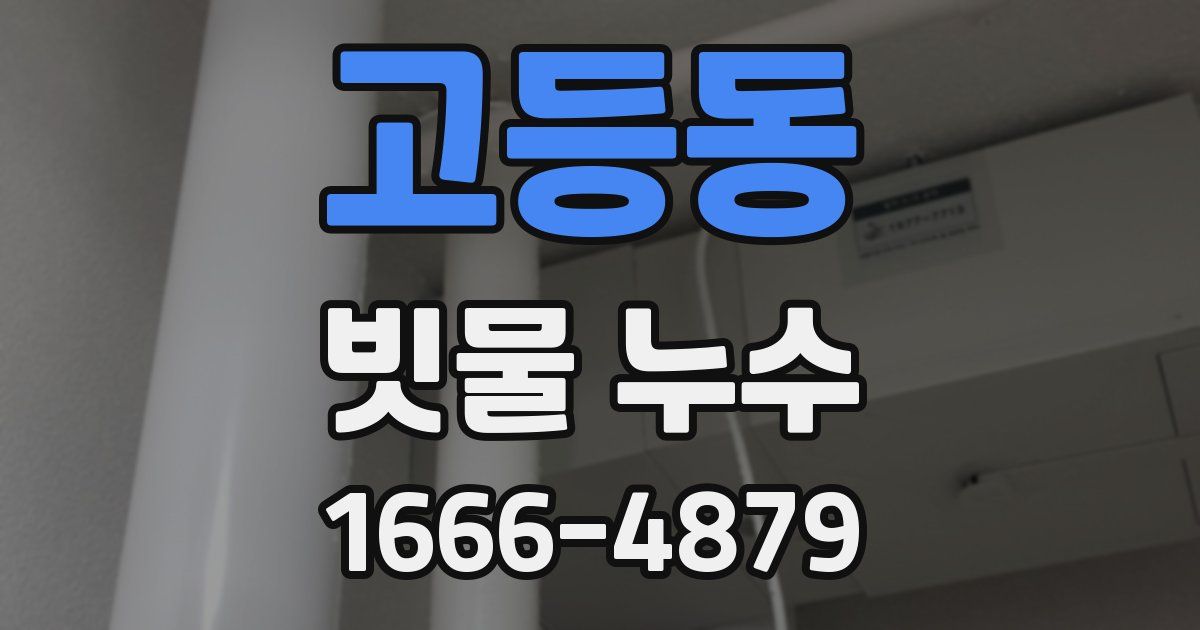 고등동 빗물 누수