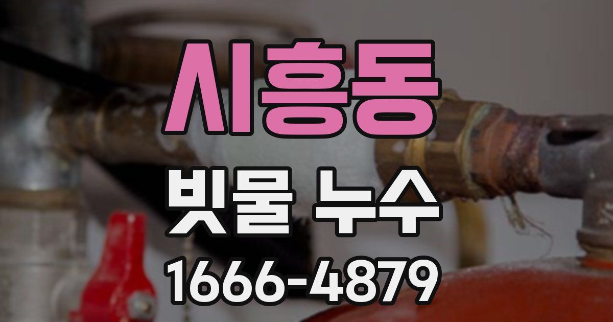 시흥동 빗물 누수