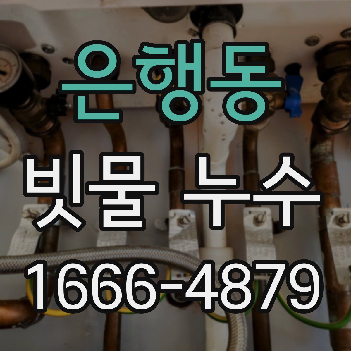 은행동 빗물 누수
