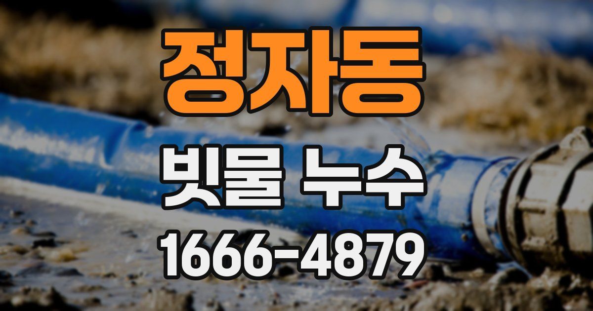 정자동 빗물 누수