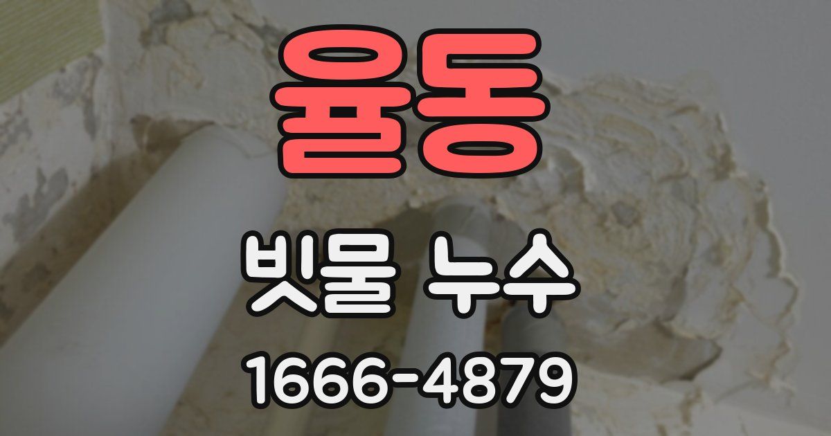 율동 빗물 누수