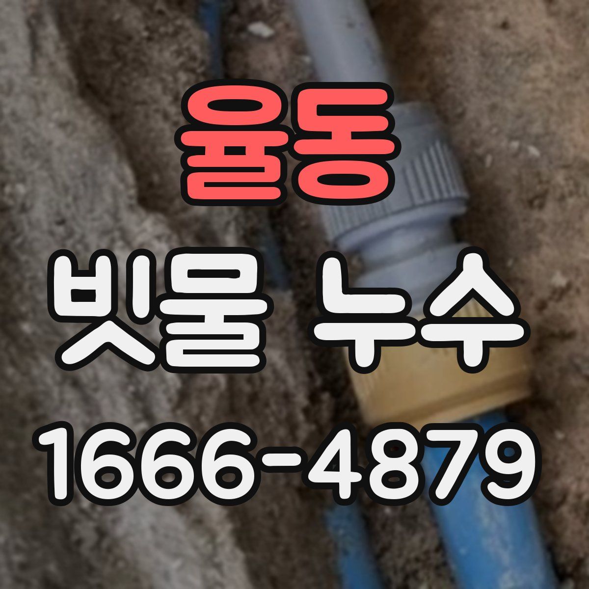 율동 빗물 누수