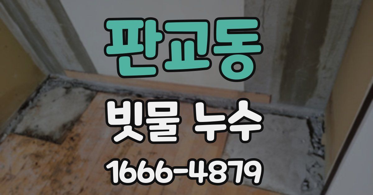 판교동 빗물 누수