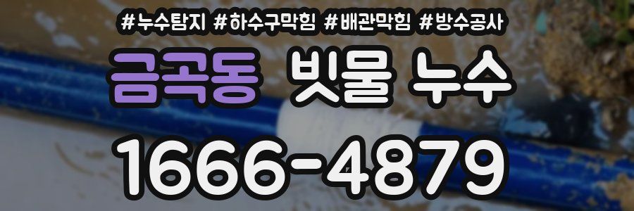 금곡동 빗물 누수