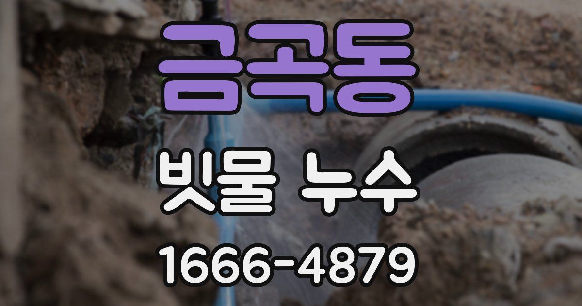 금곡동 빗물 누수