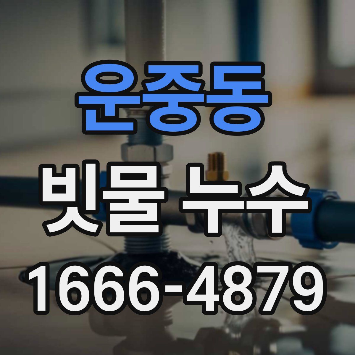 운중동 빗물 누수