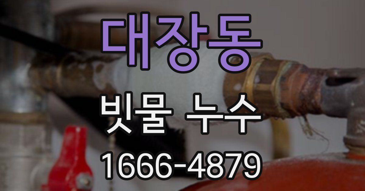 대장동 빗물 누수