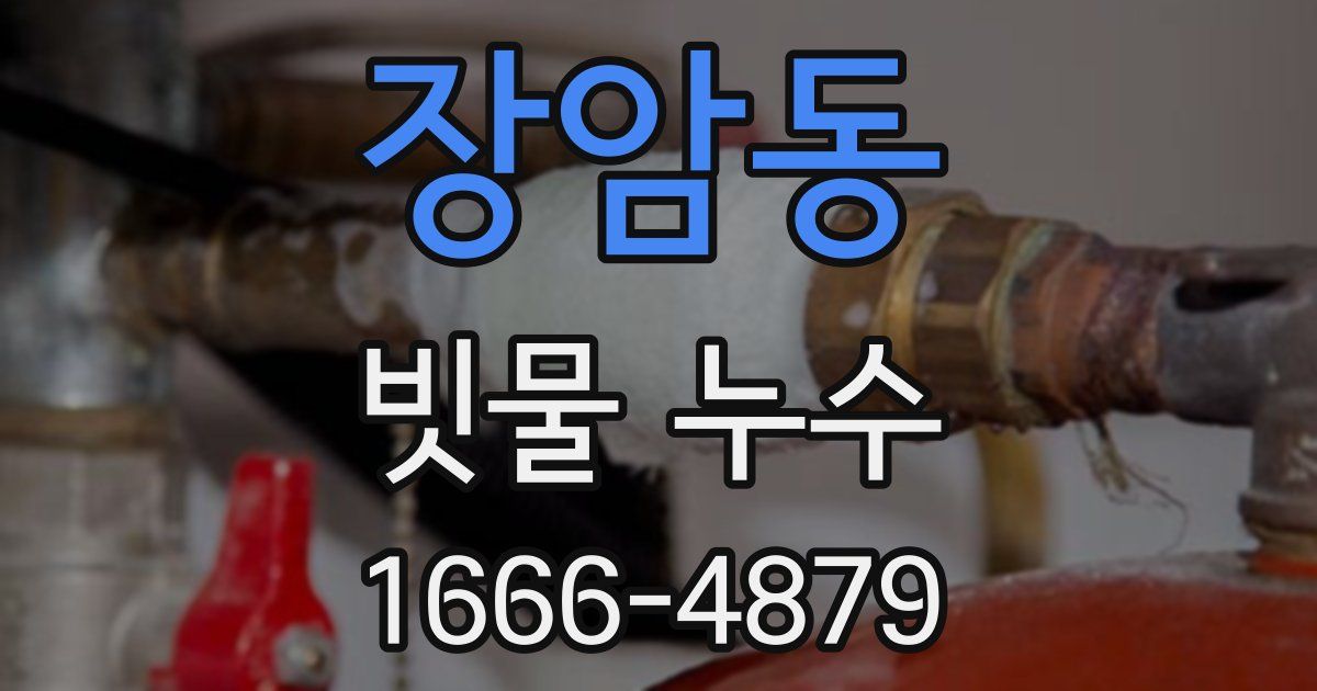 장암동 빗물 누수