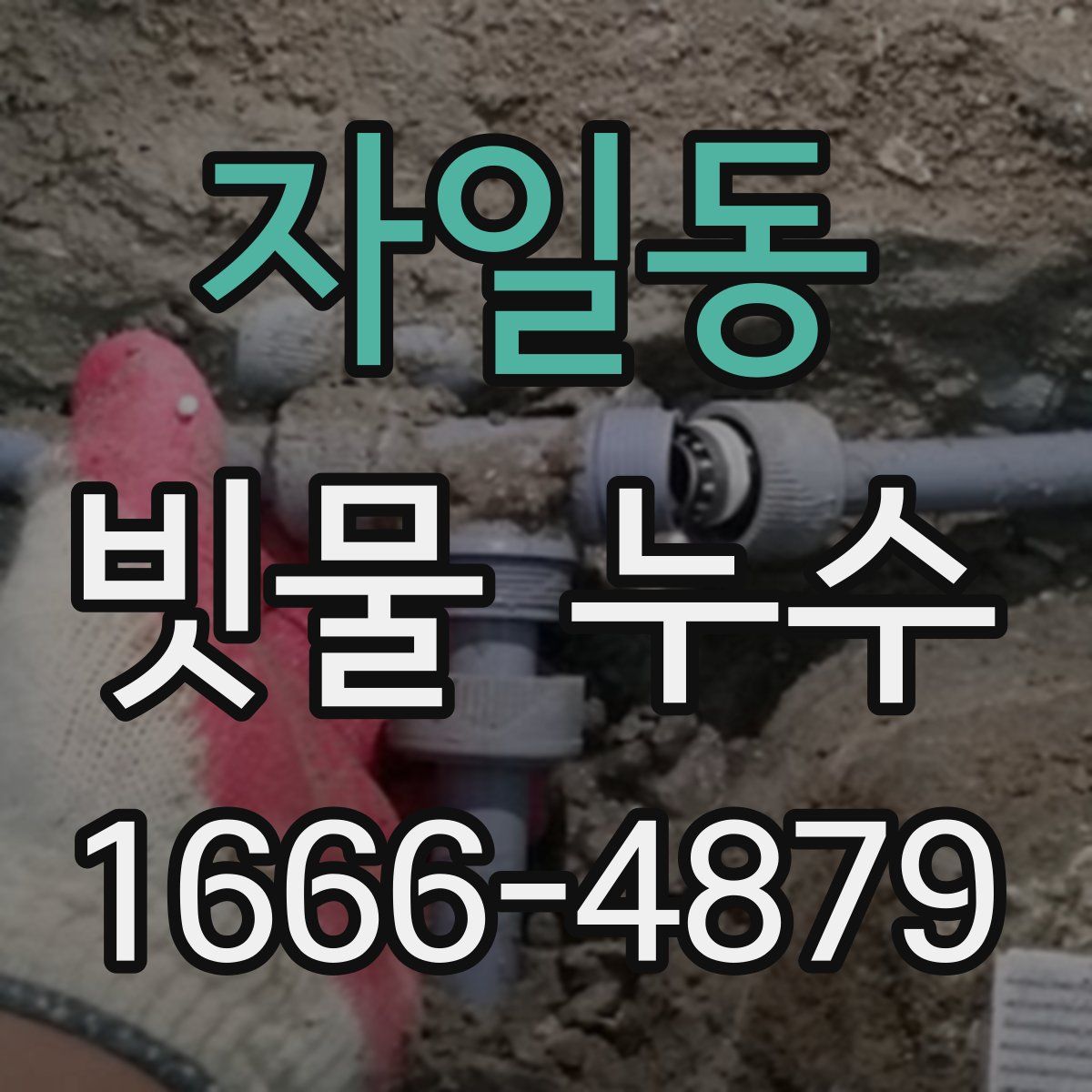 자일동 빗물 누수