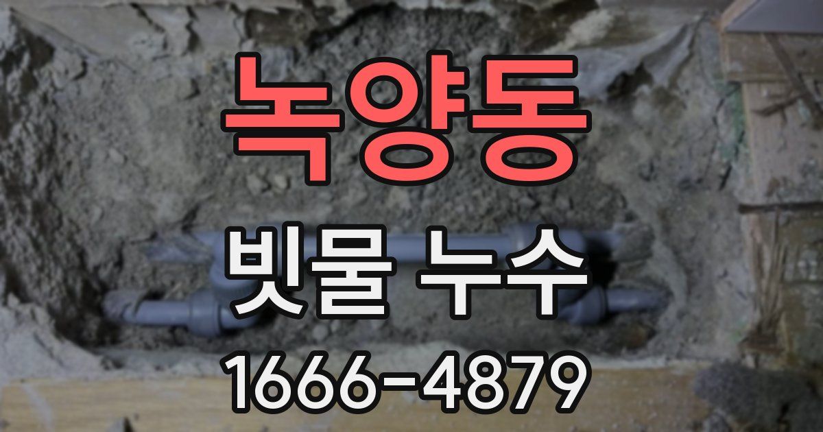 녹양동 빗물 누수