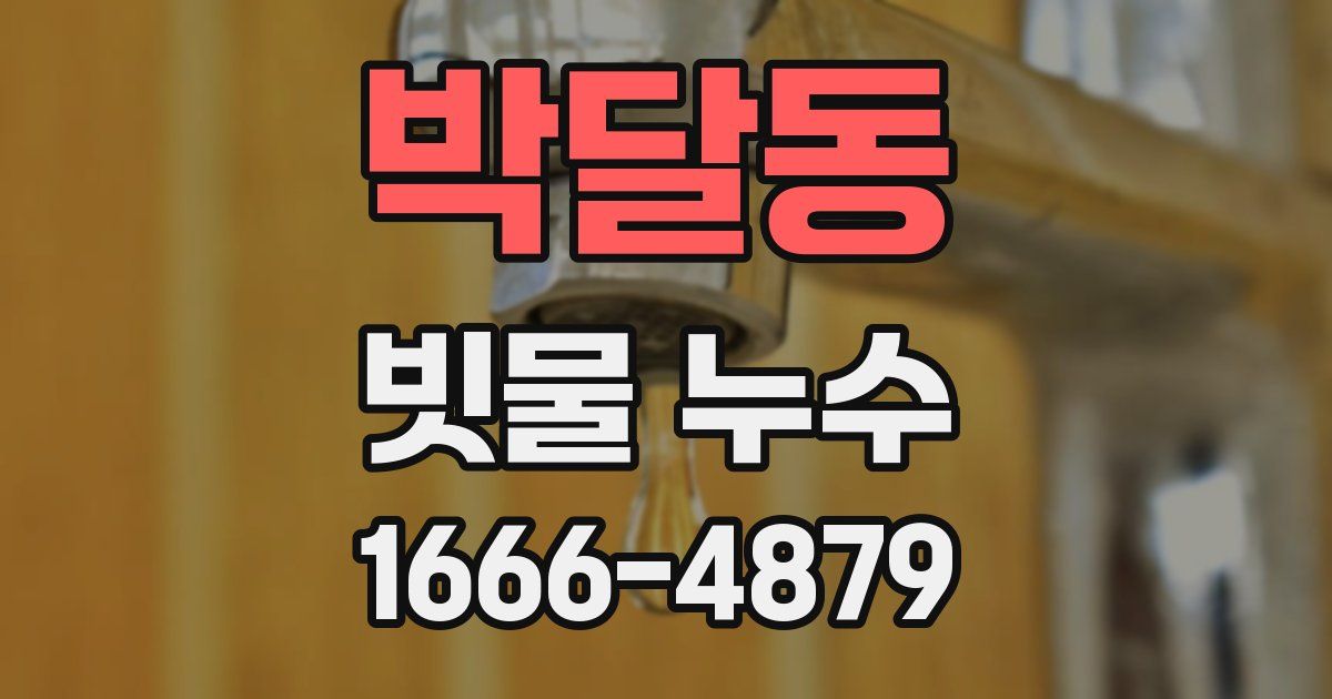 박달동 빗물 누수