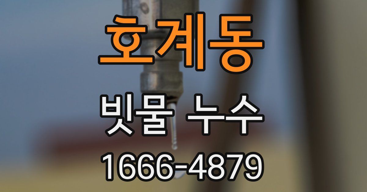 호계동 빗물 누수