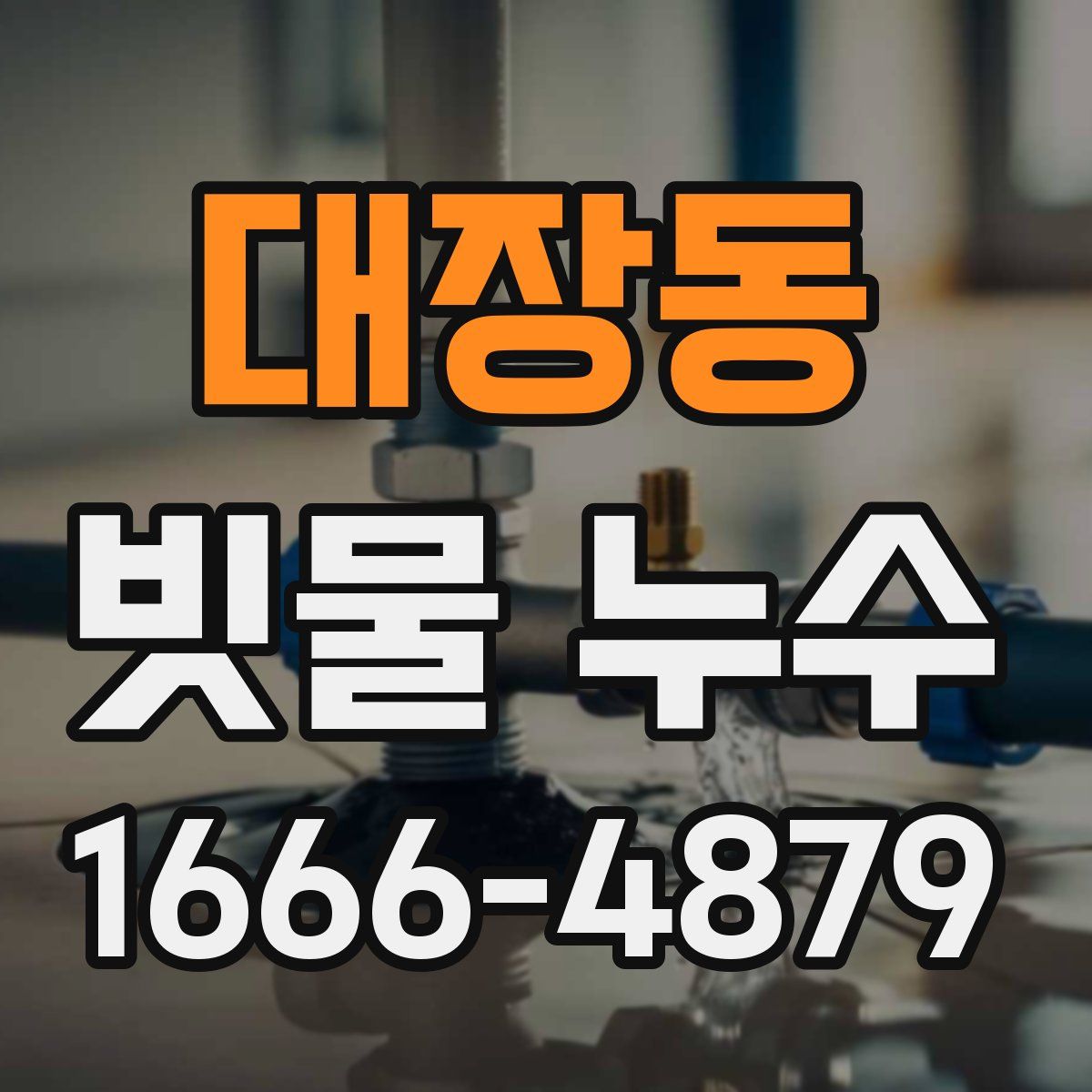대장동 빗물 누수