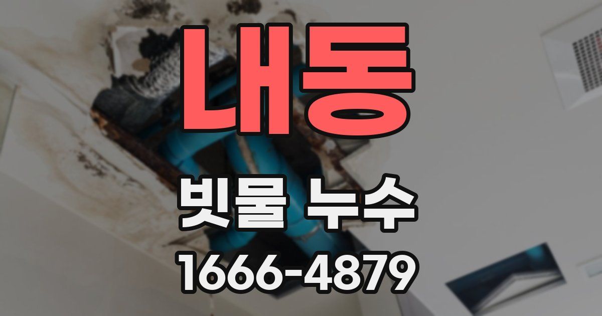 내동 빗물 누수