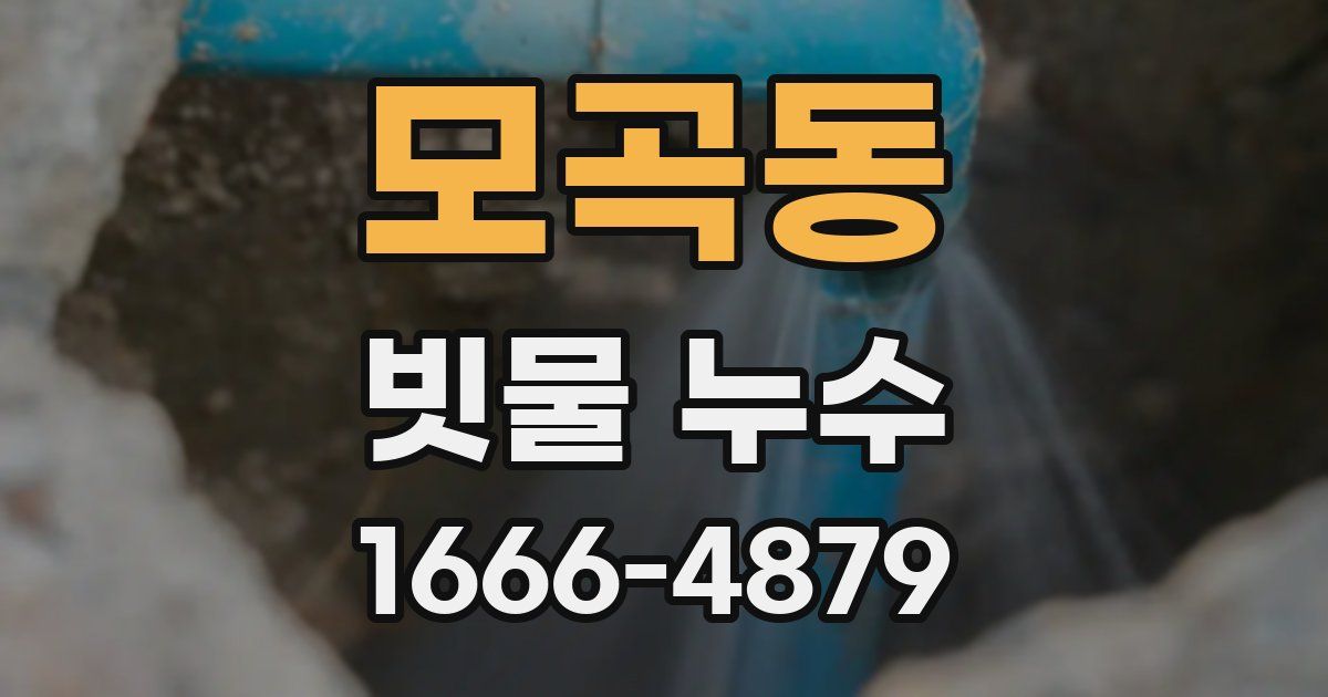 모곡동 빗물 누수
