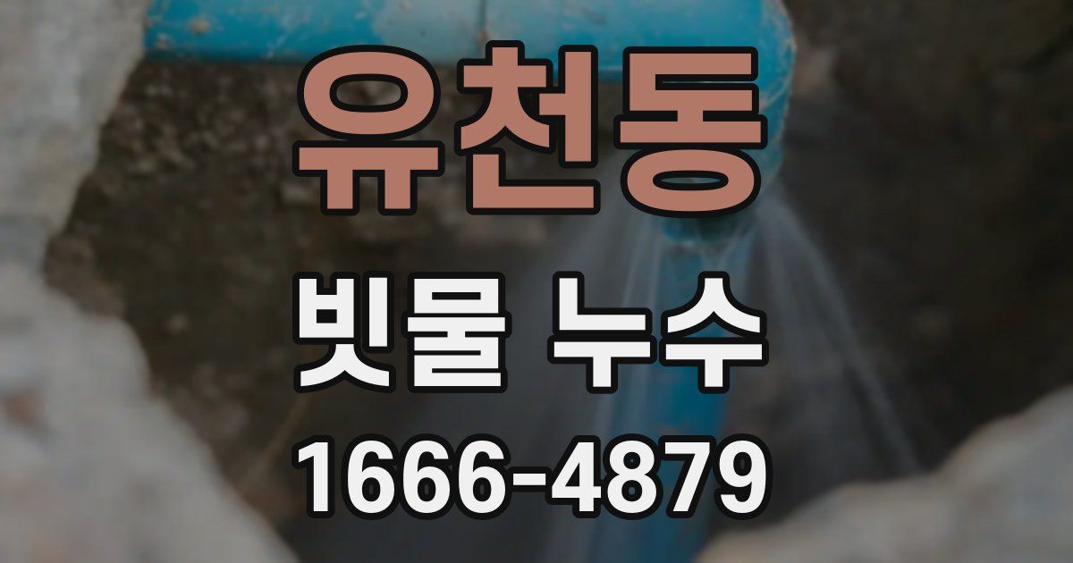유천동 빗물 누수