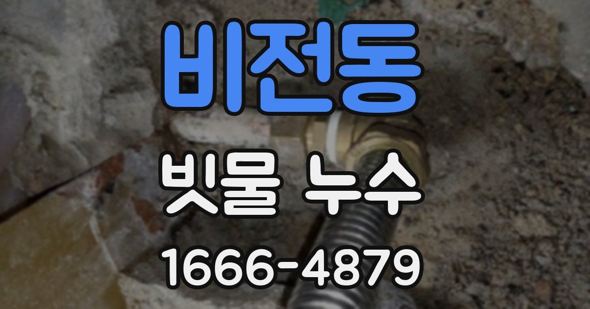 비전동 빗물 누수