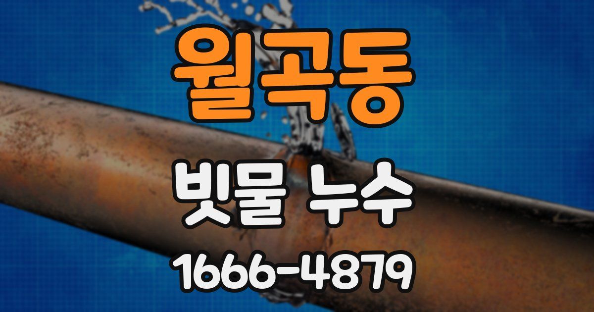월곡동 빗물 누수