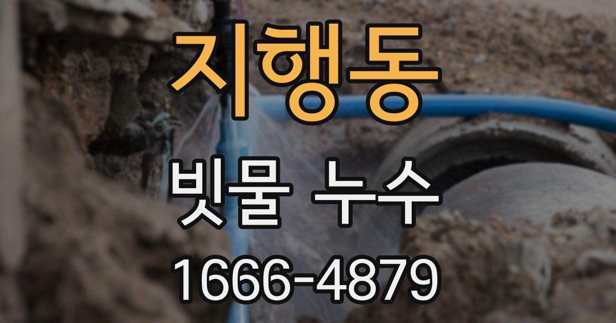 지행동 빗물 누수