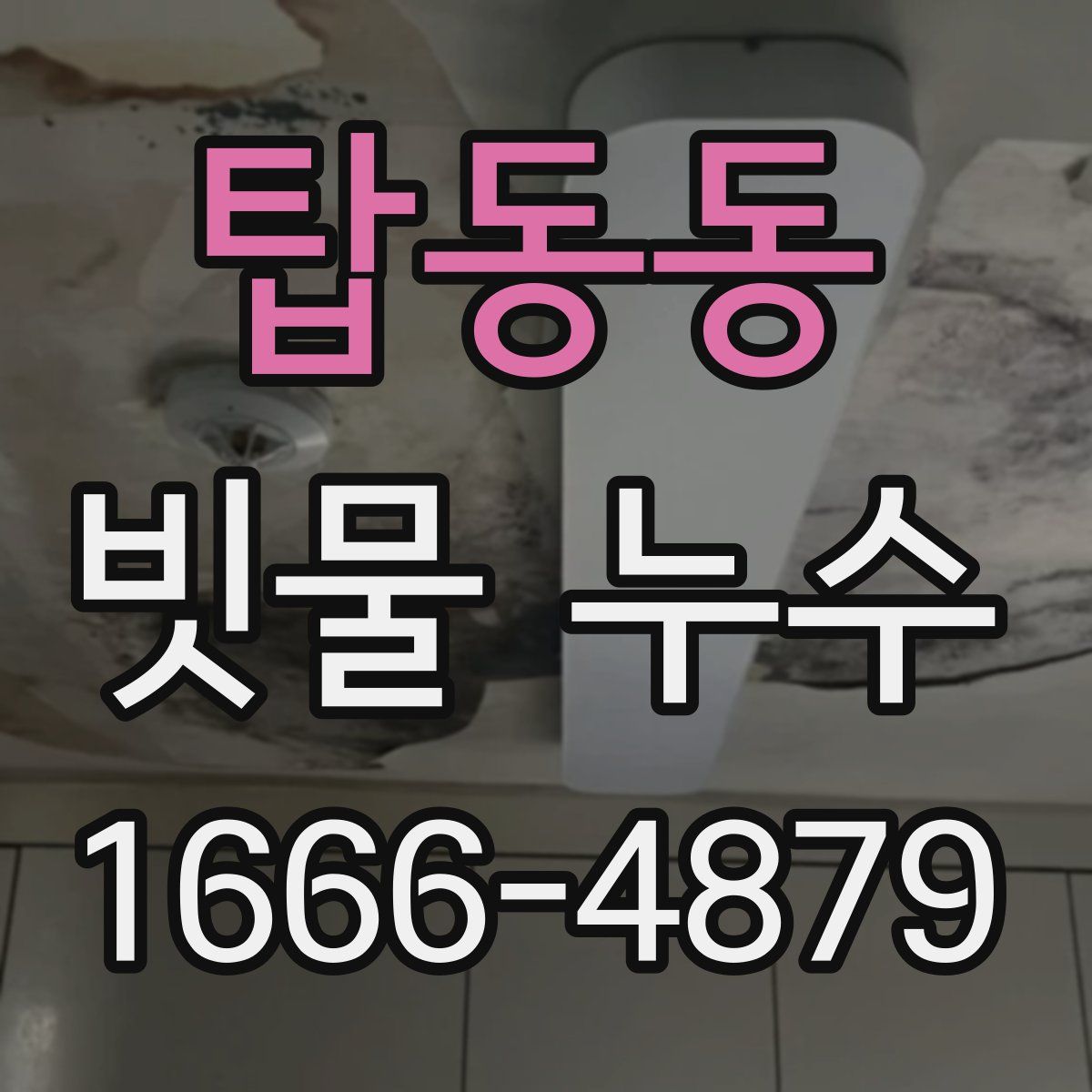 탑동동 빗물 누수