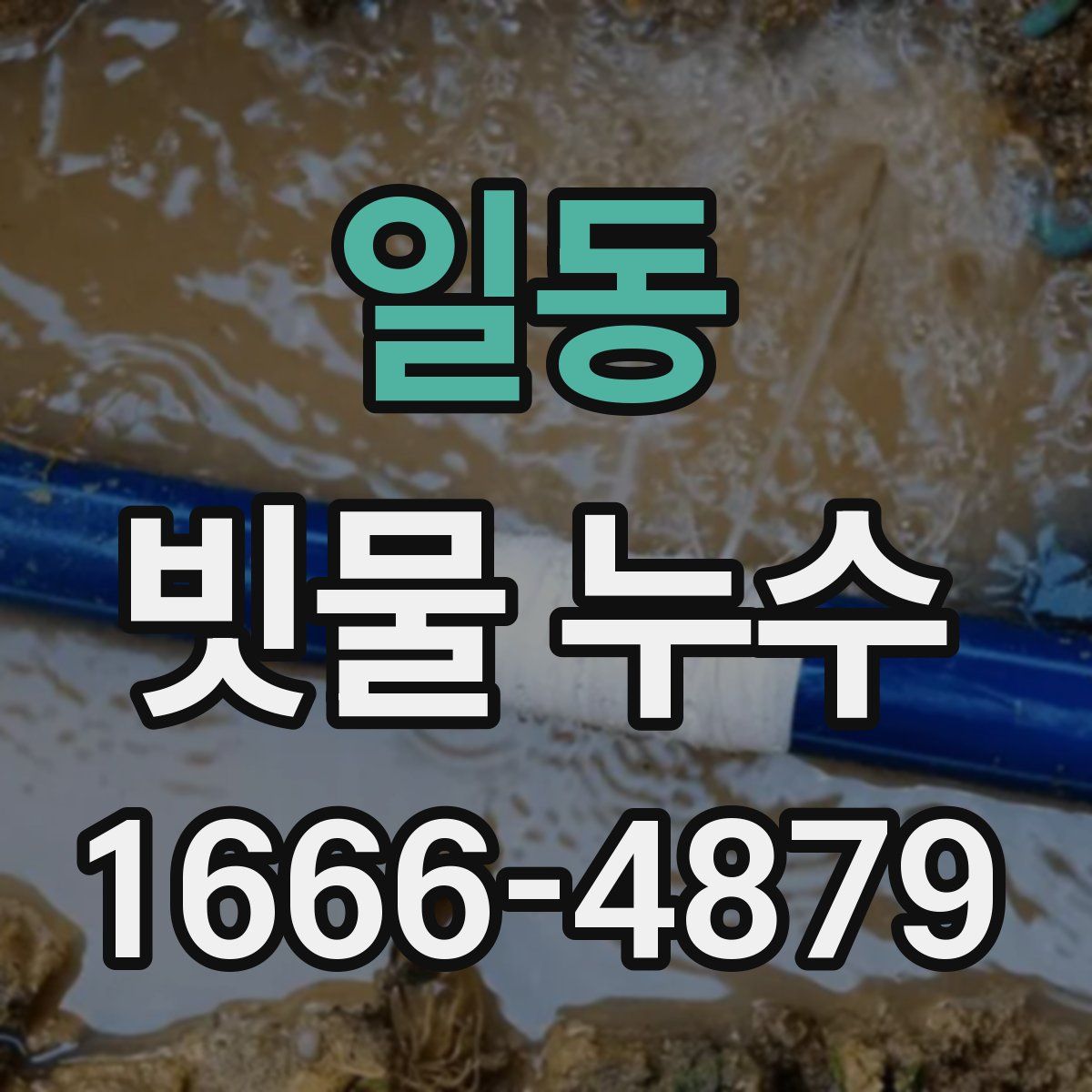 일동 빗물 누수