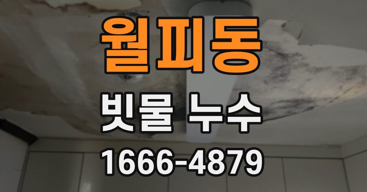 월피동 빗물 누수