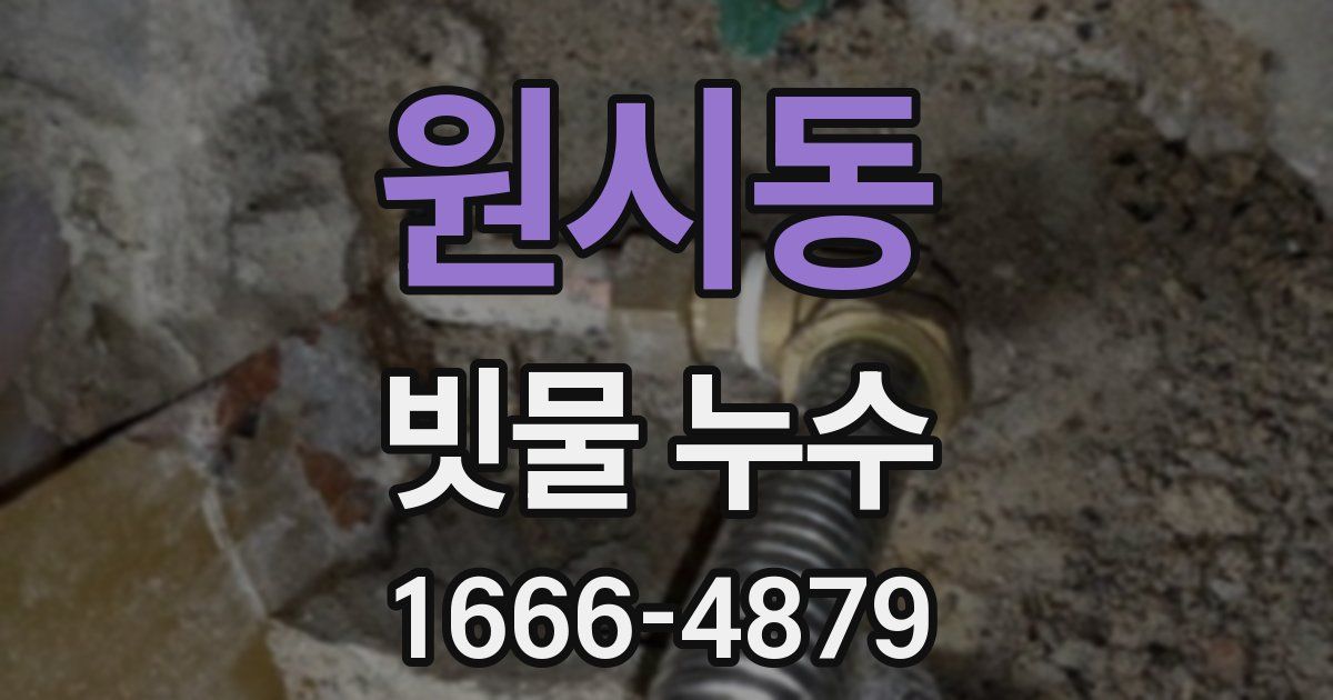 원시동 빗물 누수