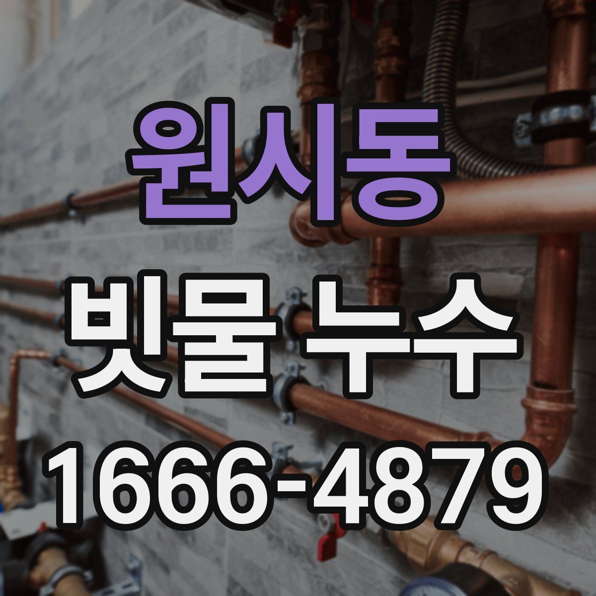 원시동 빗물 누수