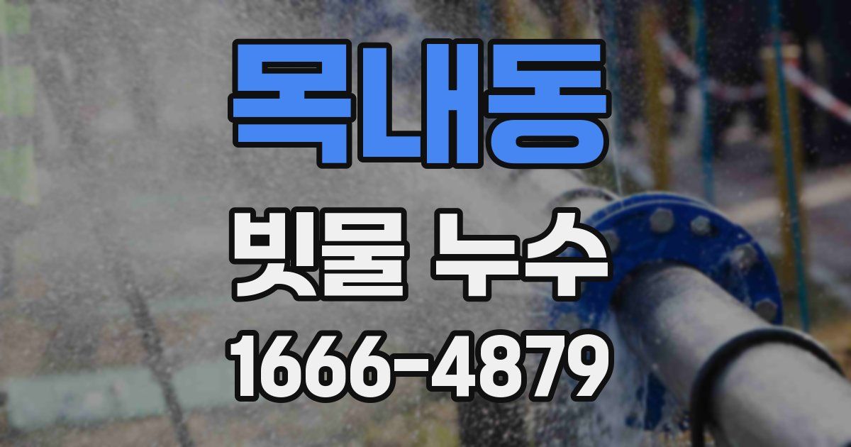 목내동 빗물 누수