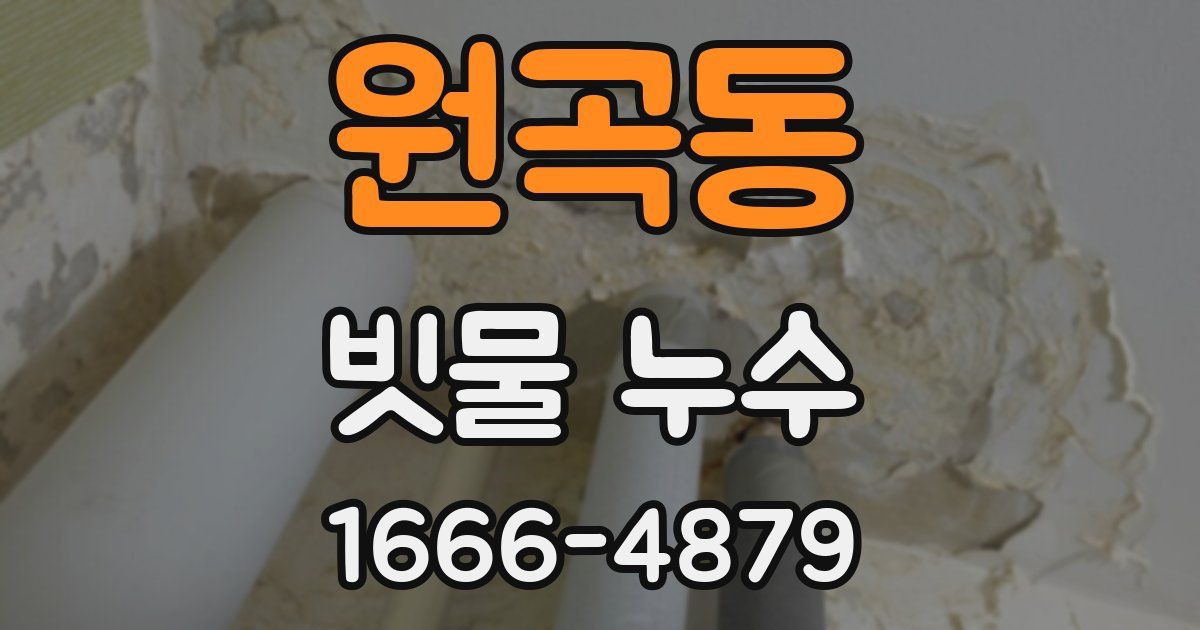 원곡동 빗물 누수