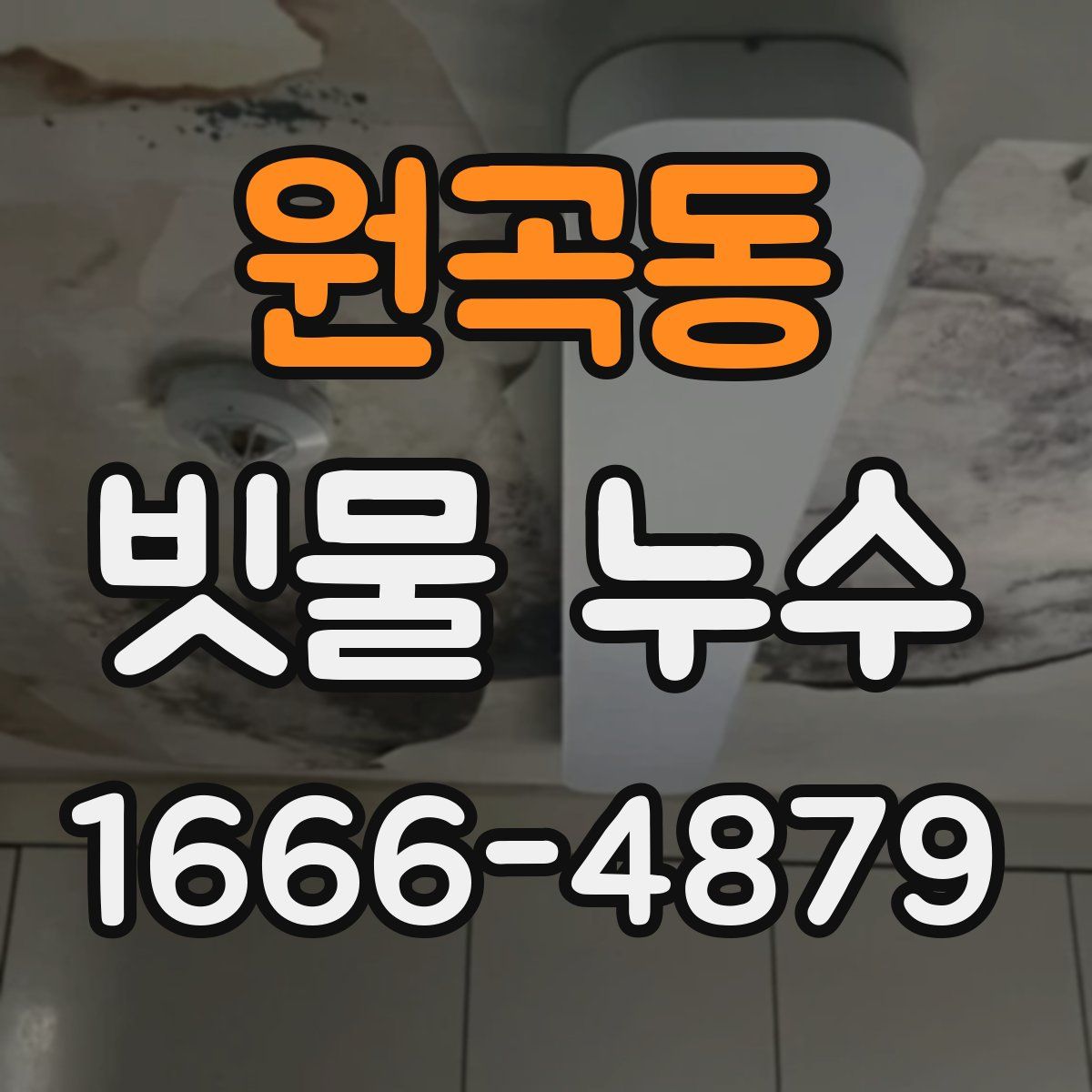 원곡동 빗물 누수