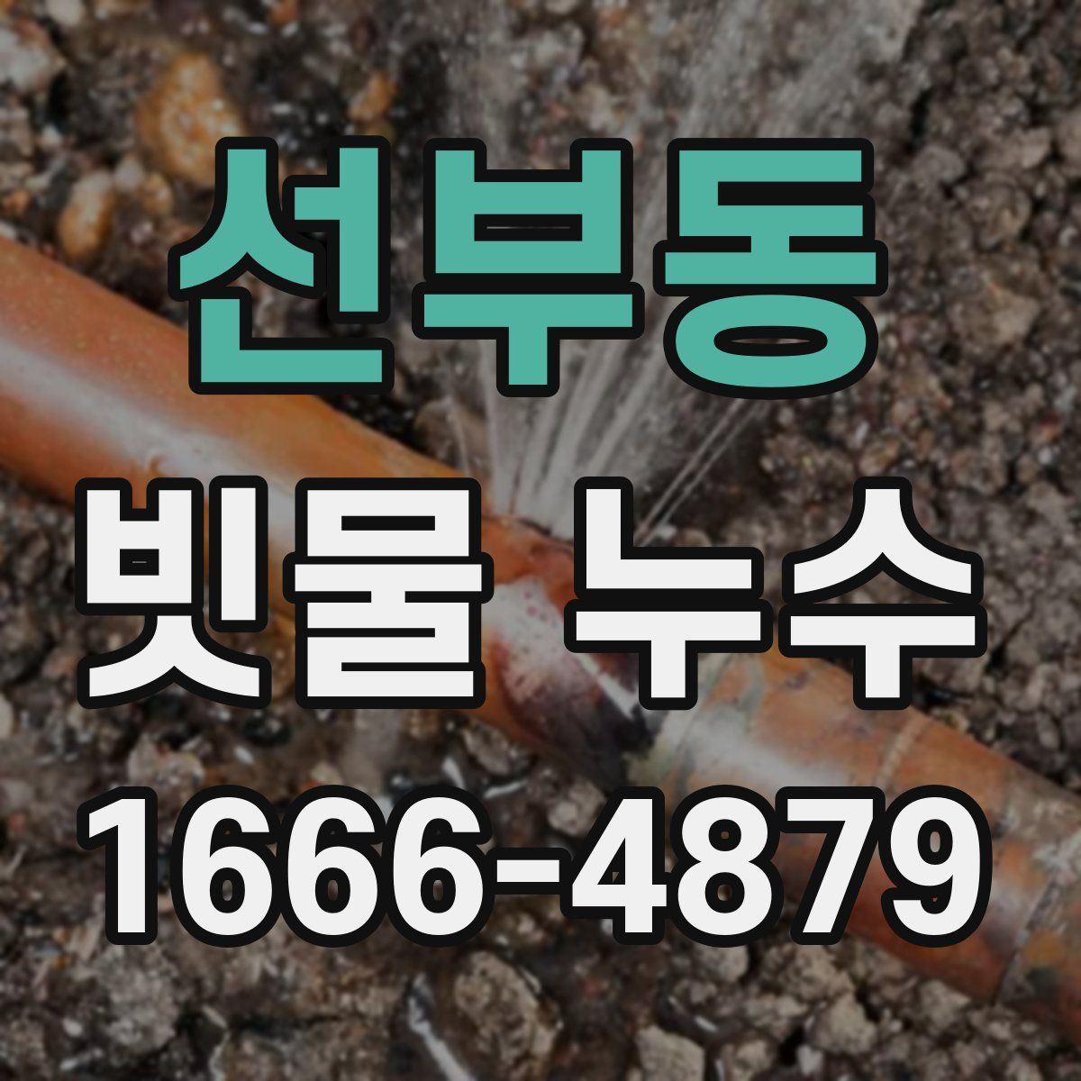 선부동 빗물 누수