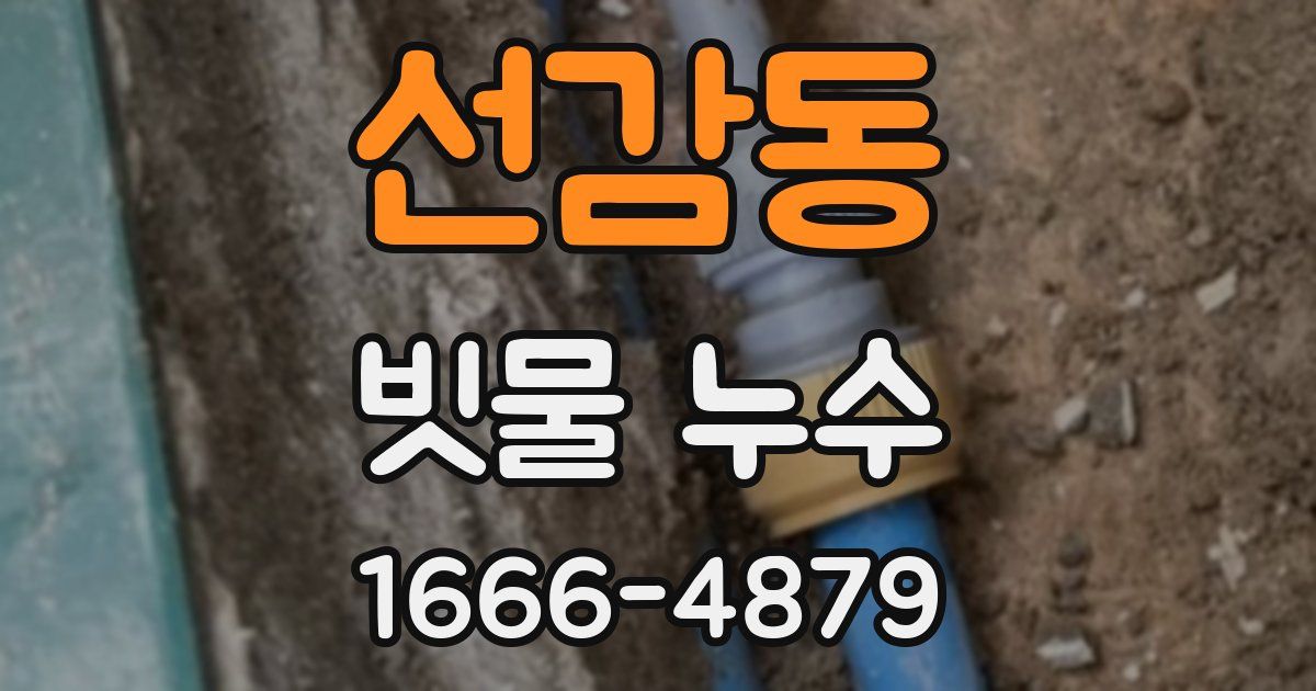 선감동 빗물 누수