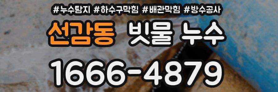 선감동 빗물 누수
