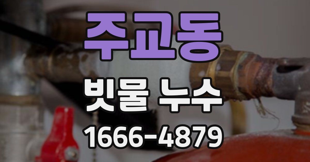 주교동 빗물 누수