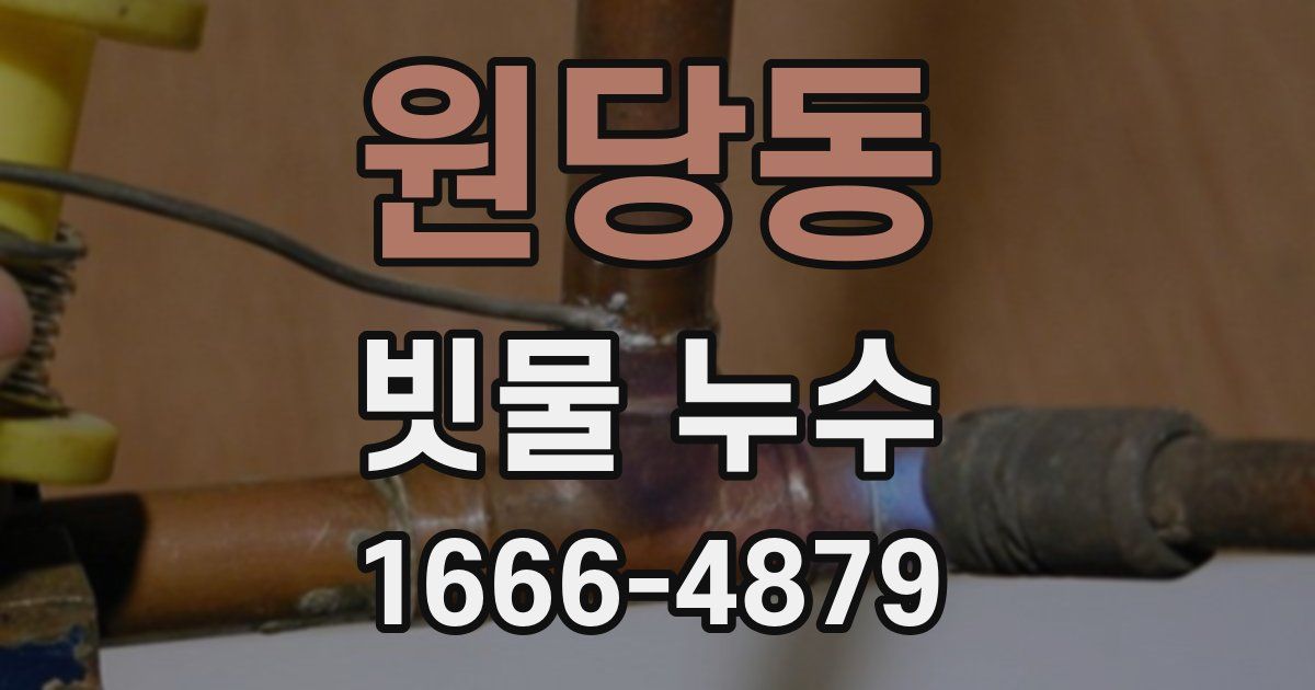원당동 빗물 누수