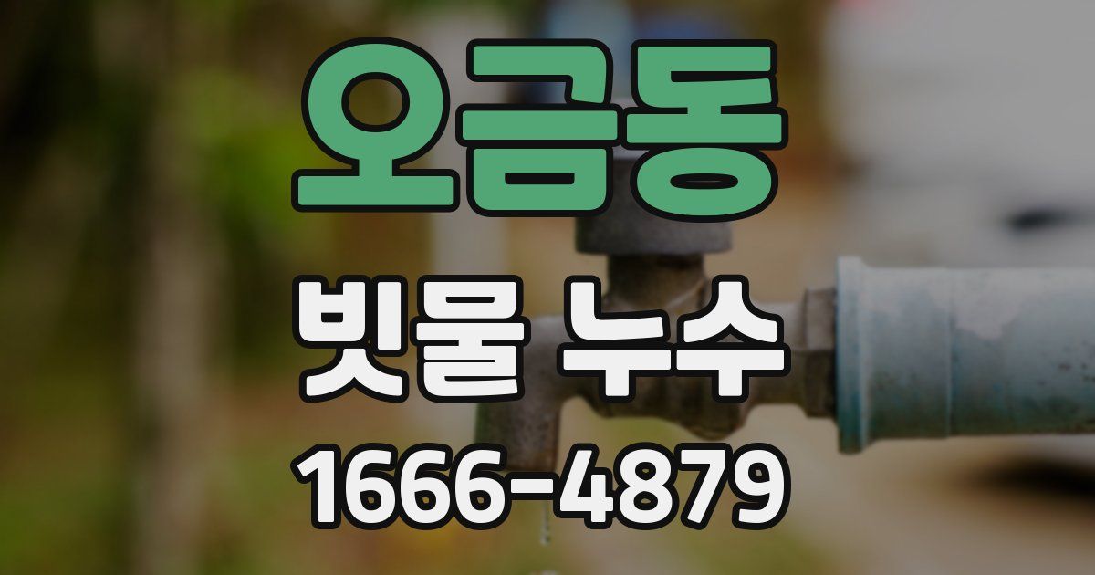 오금동 빗물 누수