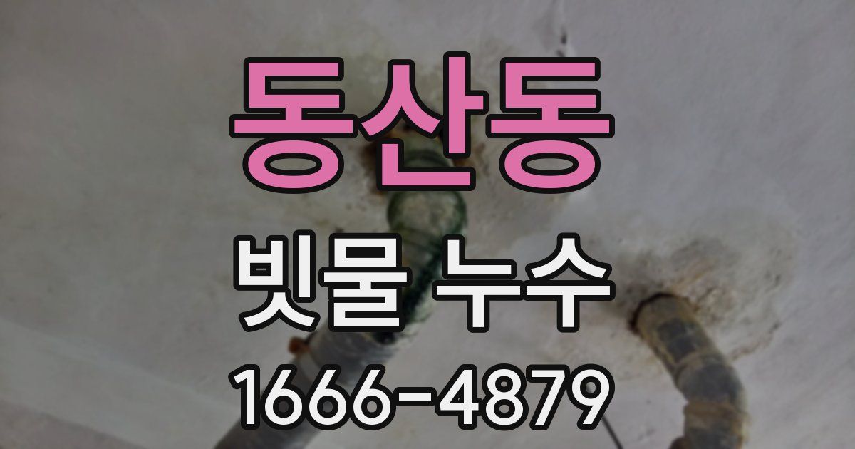 동산동 빗물 누수