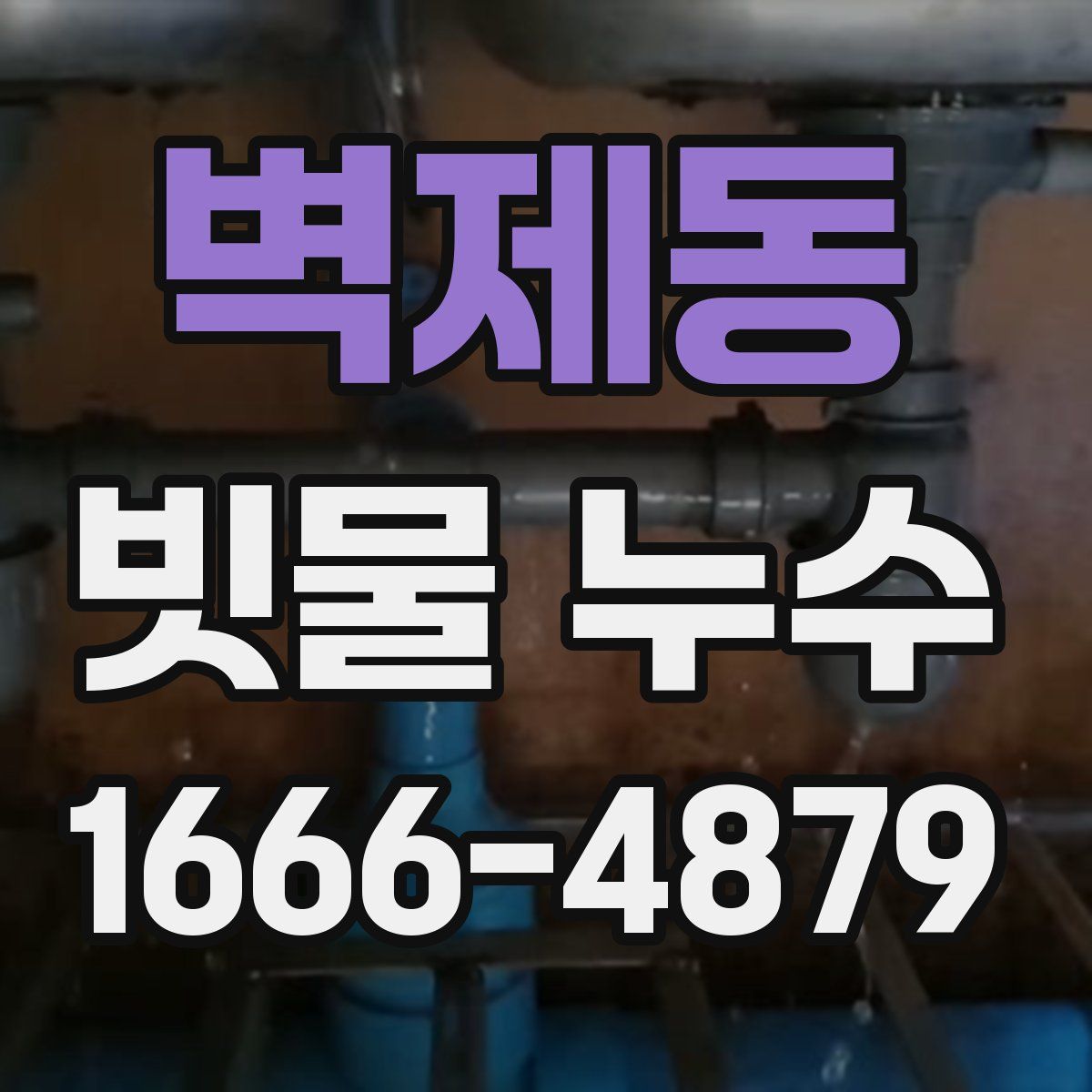 벽제동 빗물 누수