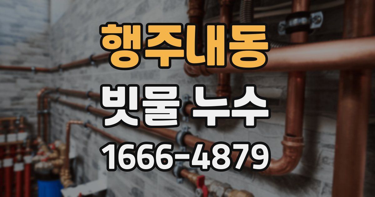 행주내동 빗물 누수