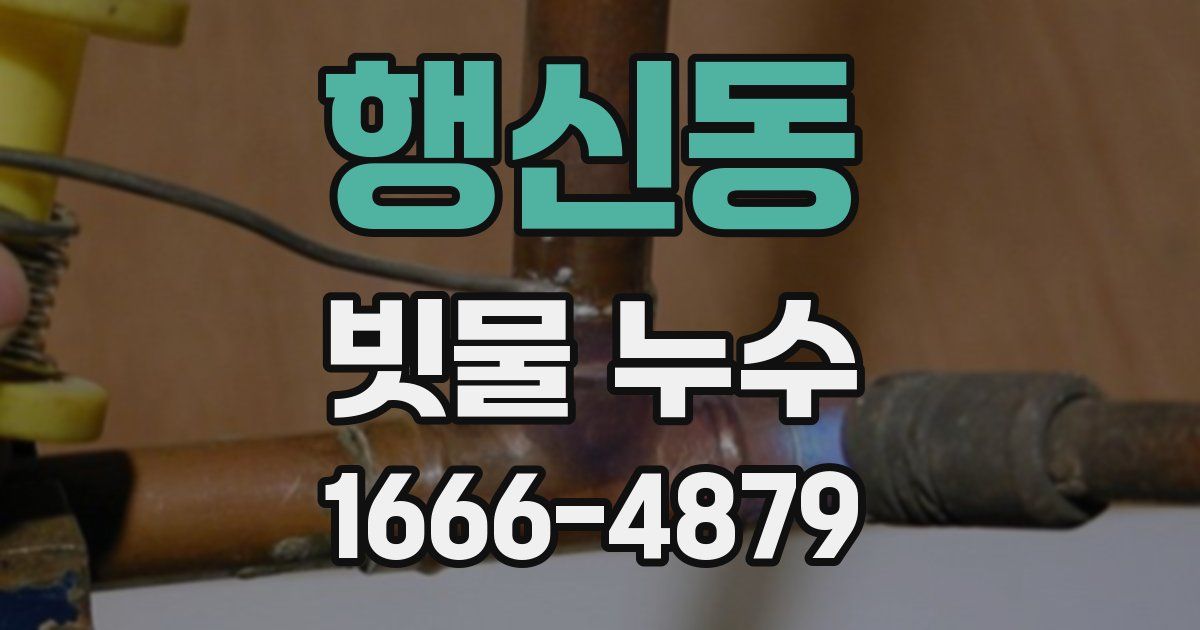 행신동 빗물 누수