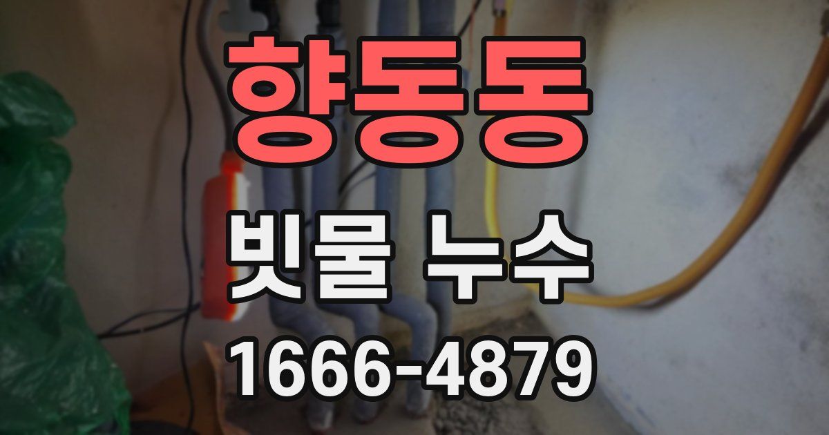 향동동 빗물 누수