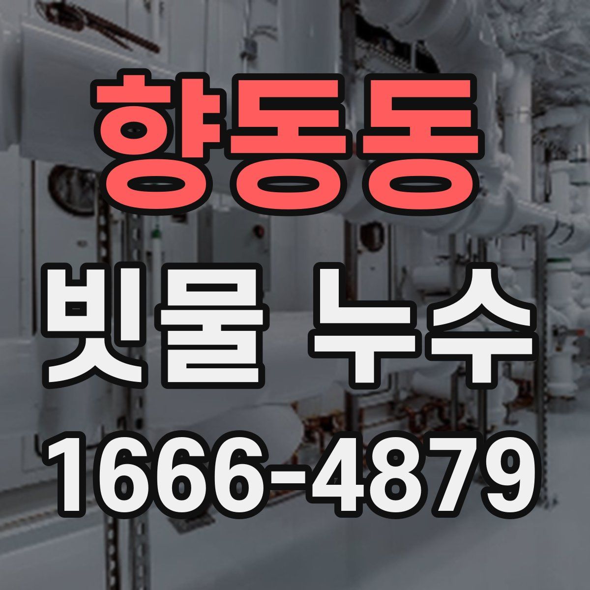 향동동 빗물 누수