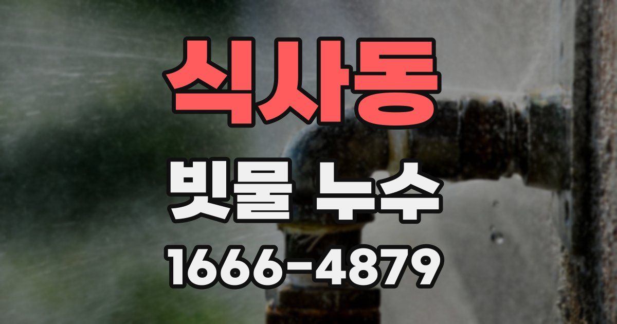 식사동 빗물 누수