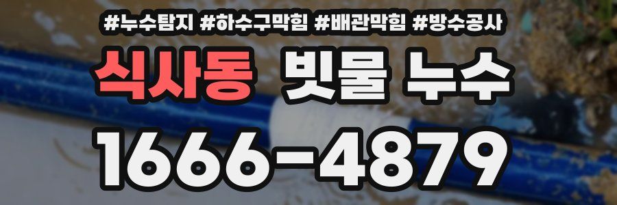식사동 빗물 누수
