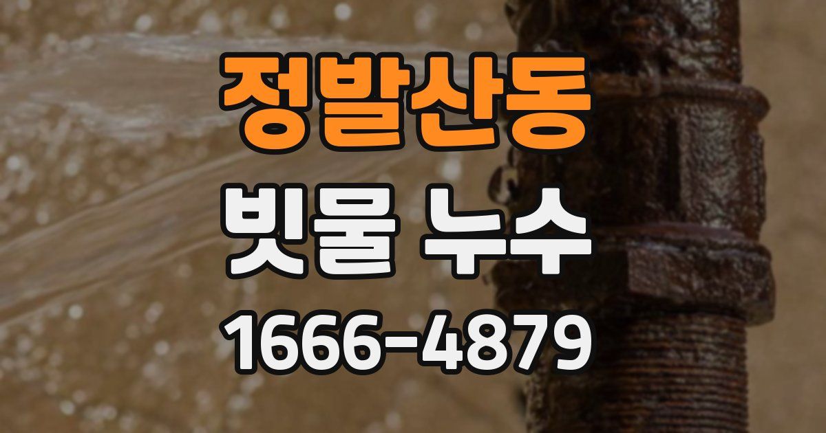 정발산동 빗물 누수